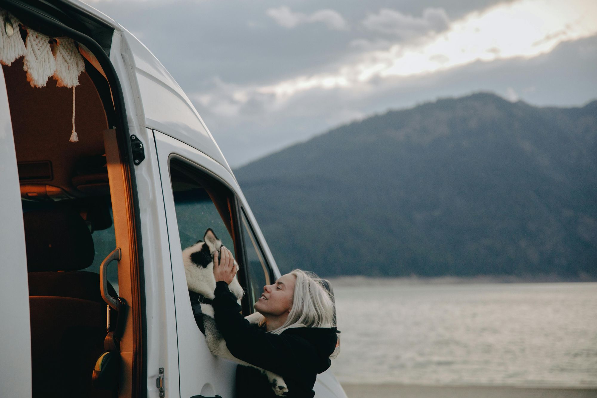 Vanlife with pets: Tips for traveling with your best friend