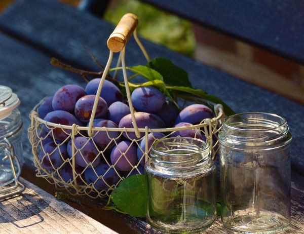 Pantry storage for singles: simple, sustainable and delicious